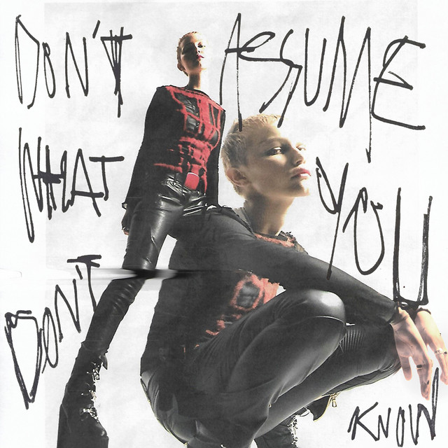 Grace VanderWaal — Don't Assume What You Don't Know cover art